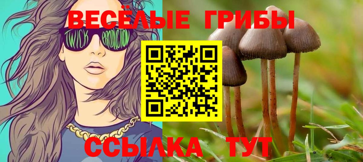Галлюциногенные грибы Psilocybe  Галлюциногенные грибы MAGIC MUSHROOMS  Вход с VPN  Борисоглебск 