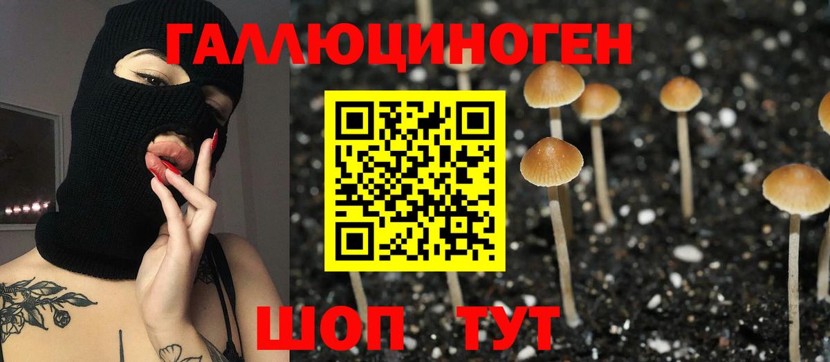 Галлюциногенные грибы Magic Shrooms Борисоглебск